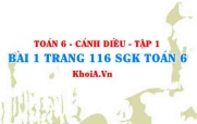 Bài 1 trang 116 SGK Toán 6 tập 1 Cánh Diều